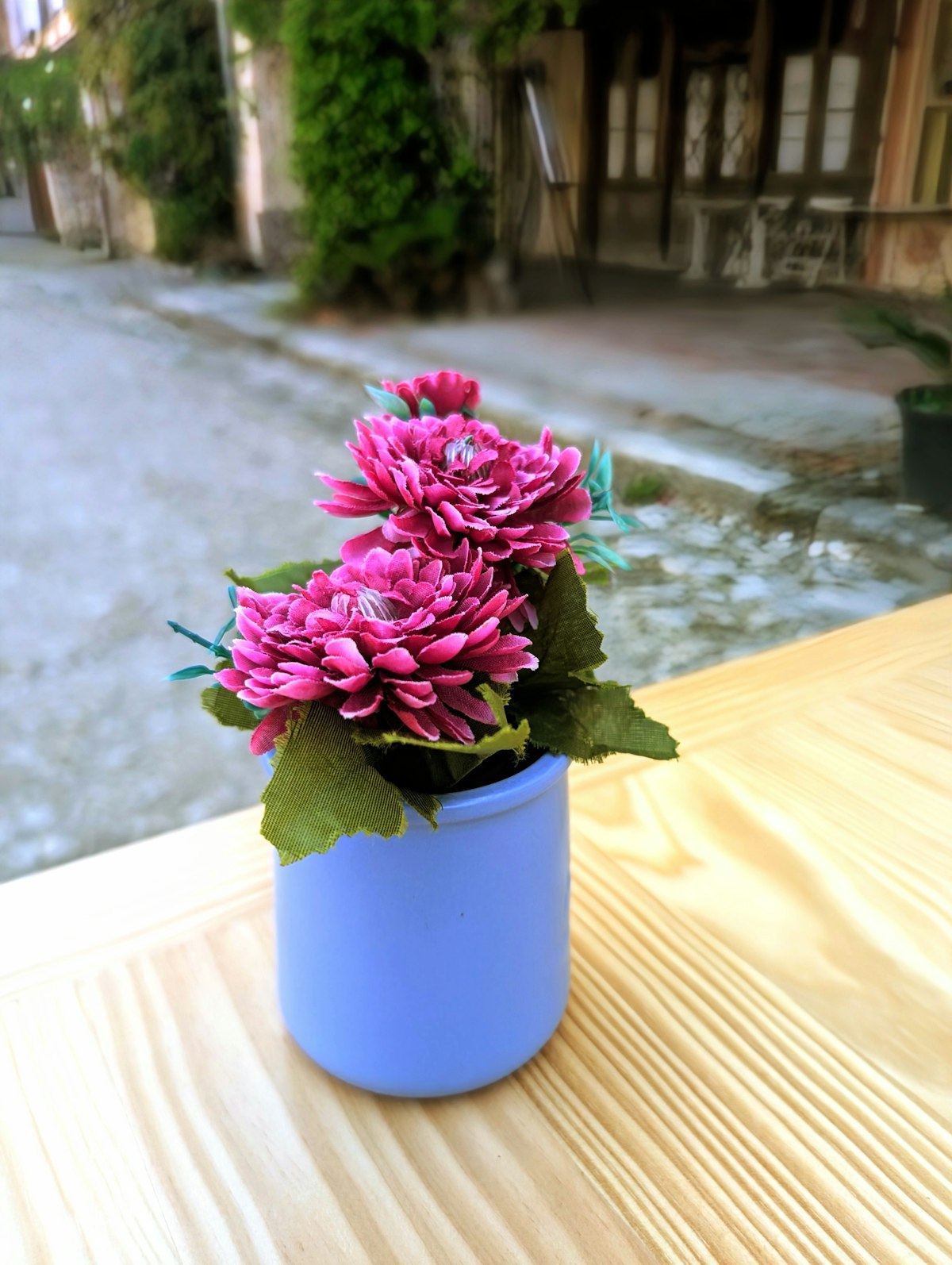 Garden detail — plants and greenery