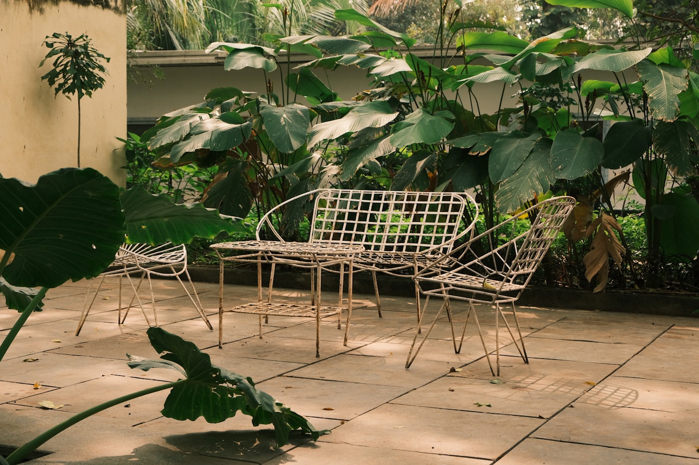 Wide shot of the garden seating area at Stellos Coffee